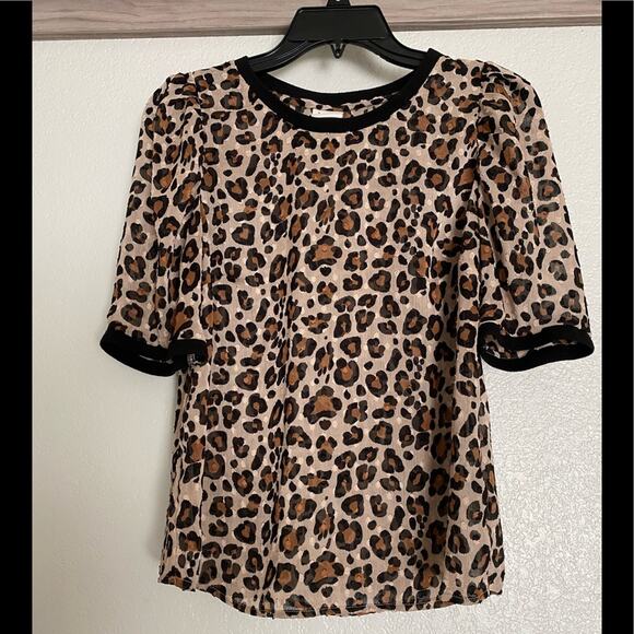 A new day Sheer leopard print short sleeve top - Picture 1 of 2